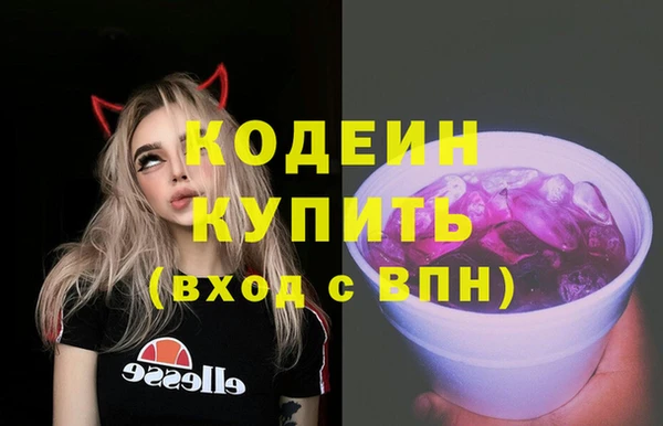 прущие грибы Вязьма