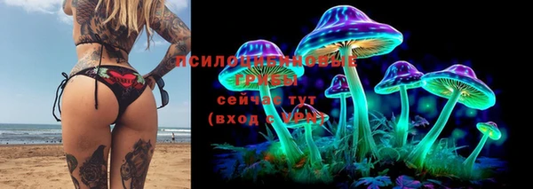 трава Вязники