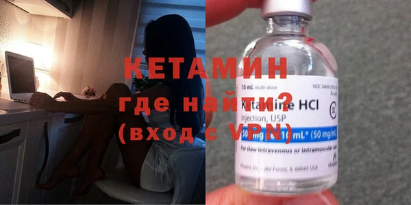 прущие грибы Вязьма