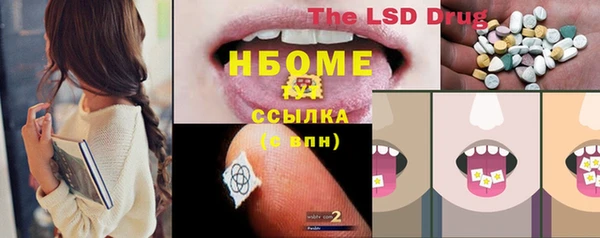 прущий лед Вяземский