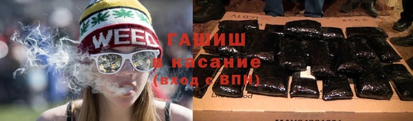 прущие грибы Вязьма