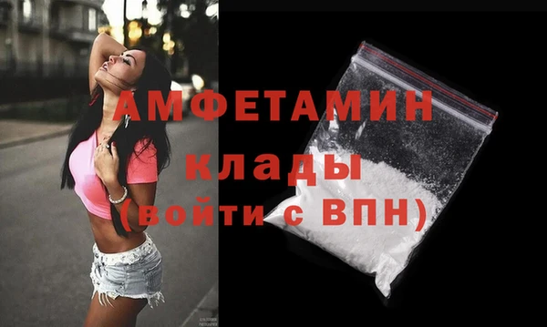 прущие грибы Вязьма