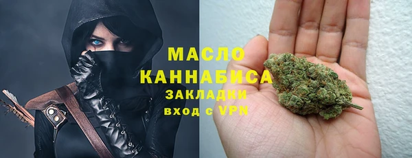 прущий лед Вяземский