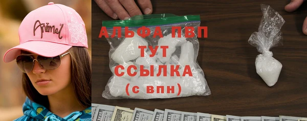 прущие грибы Вязьма