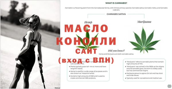 прущий лед Вяземский