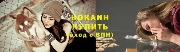 прущие грибы Вязьма