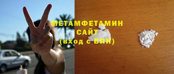 прущие грибы Вязьма