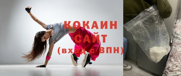 прущие грибы Вязьма