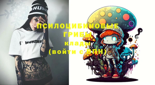 прущий лед Вяземский
