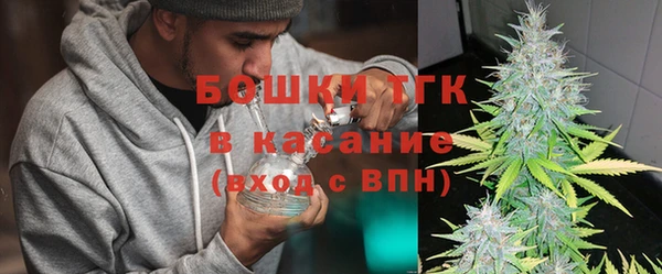 прущий лед Вяземский