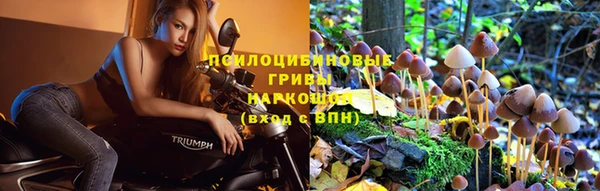 трава Вязники