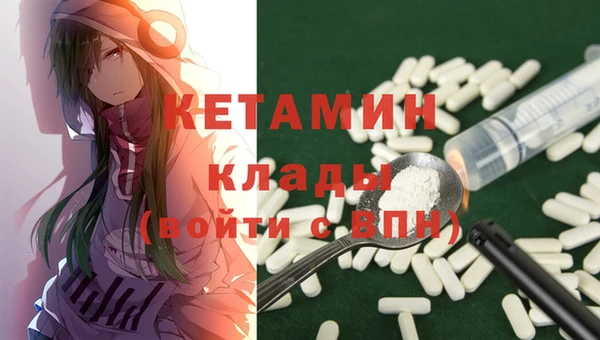 прущие грибы Вязьма