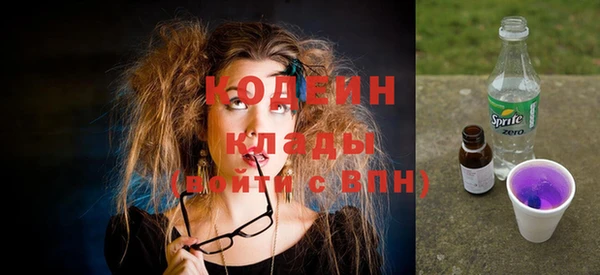 прущие грибы Вязьма