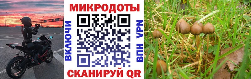 Галлюциногенные грибы Magic Shrooms  KRAKEN зеркало  Волжский 